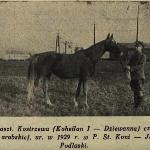 Kostrzewa