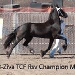 Ziva T.C.F.