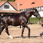 Romans<br /><i>Książ, 16-17 sierpnia 2018</i>