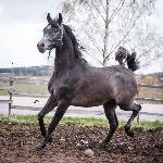 Poter<br />&copy; Anette Mattsson