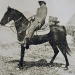 Haleb or. ar. - Homer Davenport dosiadający Haleb