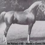 Ibn Hanad