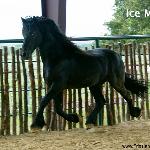 Eise van 't Oost (Ice Man)