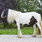 Lea<br /><i>Wielkie Wierzno - wrzesień 2022</i>