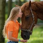 Berlina<br />&copy; fb Anna Przybył - equine & dog photography