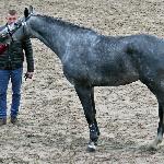Hickstetstakkato - marzec 2020<br />&copy; Anna Pyzara-Nakoniechnaia