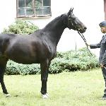 Argolida