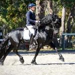 Omer R.S. fan Top en Twel