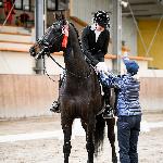 Fibrina - Fibrina (Believe In Me x Le Duc)<br />&copy; faraa
