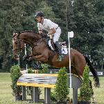 Skylight - Baborówko Horse Sale Show 2019<br />&copy; M&R Photo