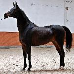 Lakonia - październik 2019<br />&copy; Anna Pyzara-Nakoniechnaia