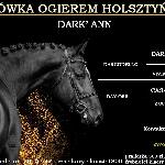 Dark'Ann