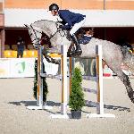 Venclova<br /><i>http://interhorse.pl/blog/gallery-item/venclova-2015/</i>