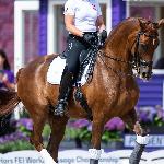Red Mexx ex. Romantic P - Romantic P & Żaneta Skowrońska Kozubik - FEI WEG Herning 2022<br />&copy; Łukasz Kowalski