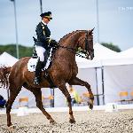 Red Mexx ex. Romantic P<br />&copy; Julia Świętochowska<br /><i>fb Dressage24.pl</i>
