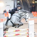 Captain Krym<br /><i>fb Tomasz Jasiński - Yosin Sport Horses</i>