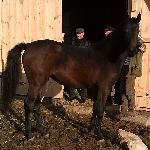 Lubania