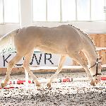 Kardamon<br />&copy; Karolina Wengerek