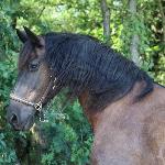 Meike B