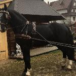 Wulkan