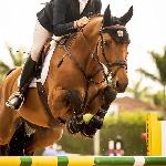 Lord Pizarro - Lord Pizarro & Ansgar Holtgers Jr.<br />&copy; Mackenzie Clark