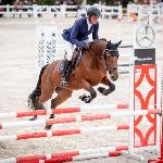 Venezia<br /><i>http://interhorse.pl/wp-content/uploads/2019/09/DSC_5675-2.jpg</i>