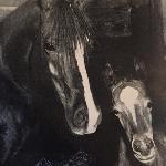 Hanida - Hanida z ogierkiem Serad po *Serafix.<br />&copy; Photo from the August 1959 issue of Arabian Horse News