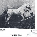 Chimena