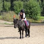 Guus v. Paardenland