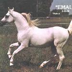 Emaus