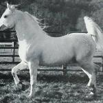 Emaus