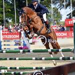 Fiston de Bo Z<br />&copy; Katarzyna Wiszowaty