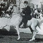 Derwisz
