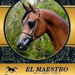 El Maestro