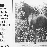 Bolero