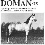 Doman