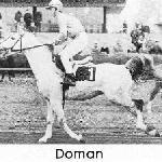 Doman