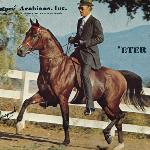 Eter