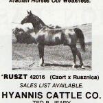 Ruszt
