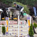 Levus<br />&copy; Asia Bręklewicz<br /><i>https://kjagrohandel.pl/pl/gallery/319-sportowy-czempionat-polski-mlodych-koni-2020.html</i>