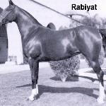 Rabiyat