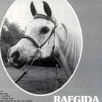 Rafgida