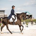 Safari<br />&copy; M&R Photo<br /><i>fb Dziuba Sport Horses</i>