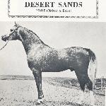 Desert Sands