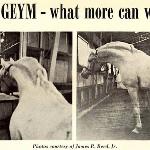 Geym