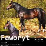 Faworyt