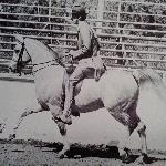 Buszir - Arabian Horse Journal, November 1976*