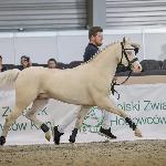 Good Luck W - XXX NWZH, Poznań 2023<br />&copy; Karolina Wengerek