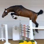 Cool Quidam (Coal Quidam)