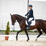 Empire Pride<br />&copy; Julia Świętochowska<br /><i>fb Dressage24.pl</i>